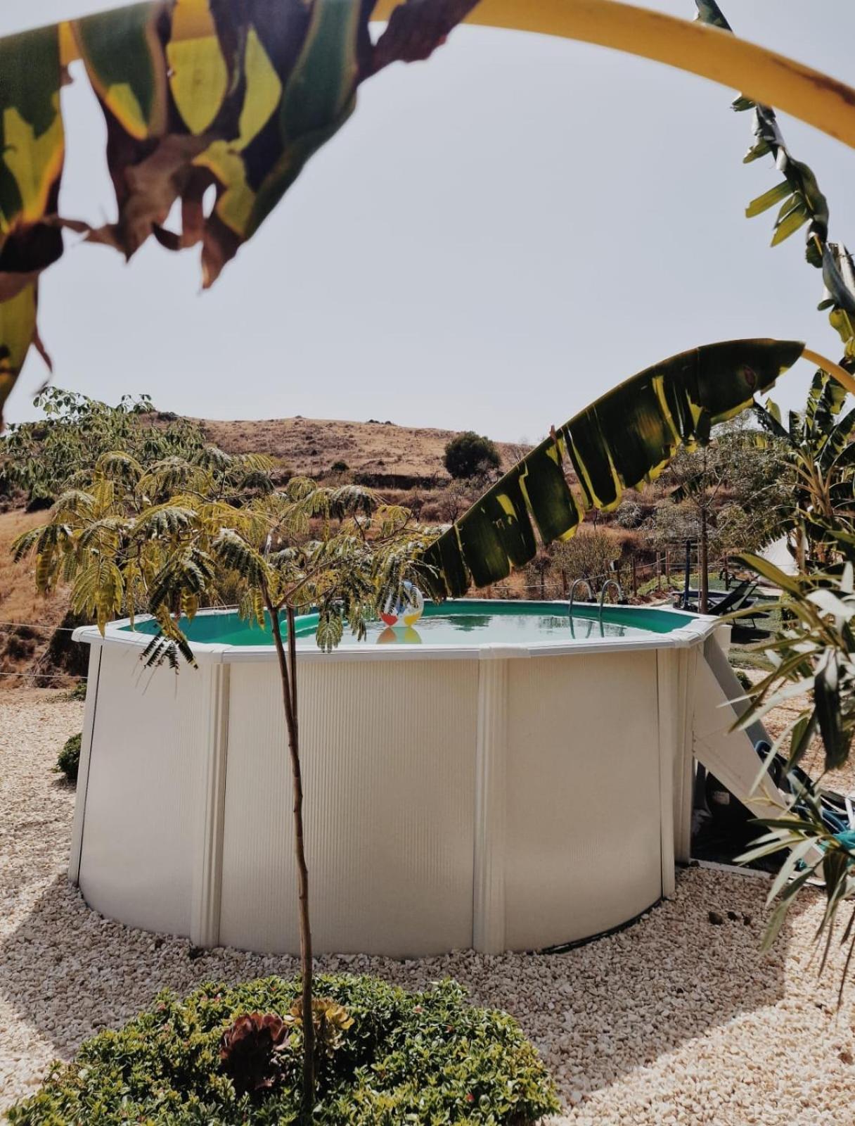 Campo de lujo Glamping El Olivo